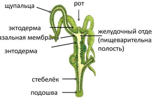 Сайт kraken зеркала