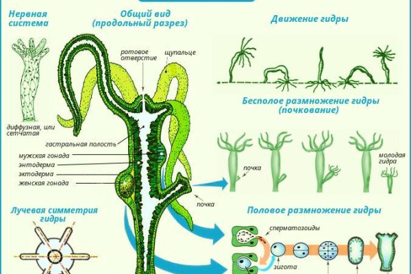 Пополнить кошелек кракен